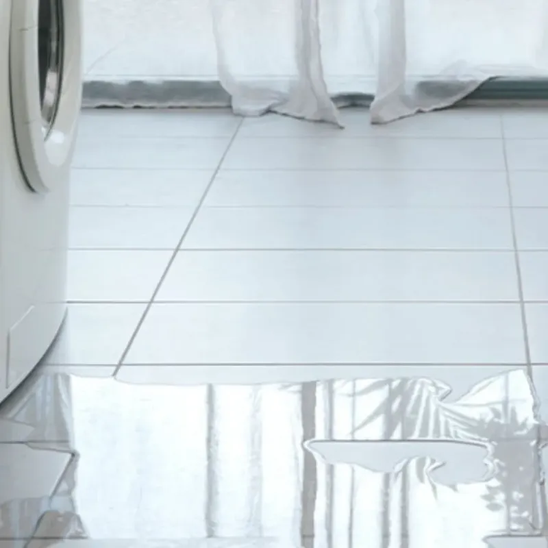 Appliance Leak Cleanup in South Jacksonville, IL