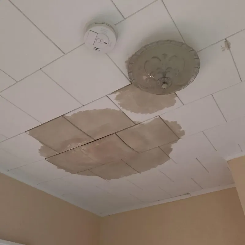 Ceiling Water Damage Repair in South Jacksonville, IL