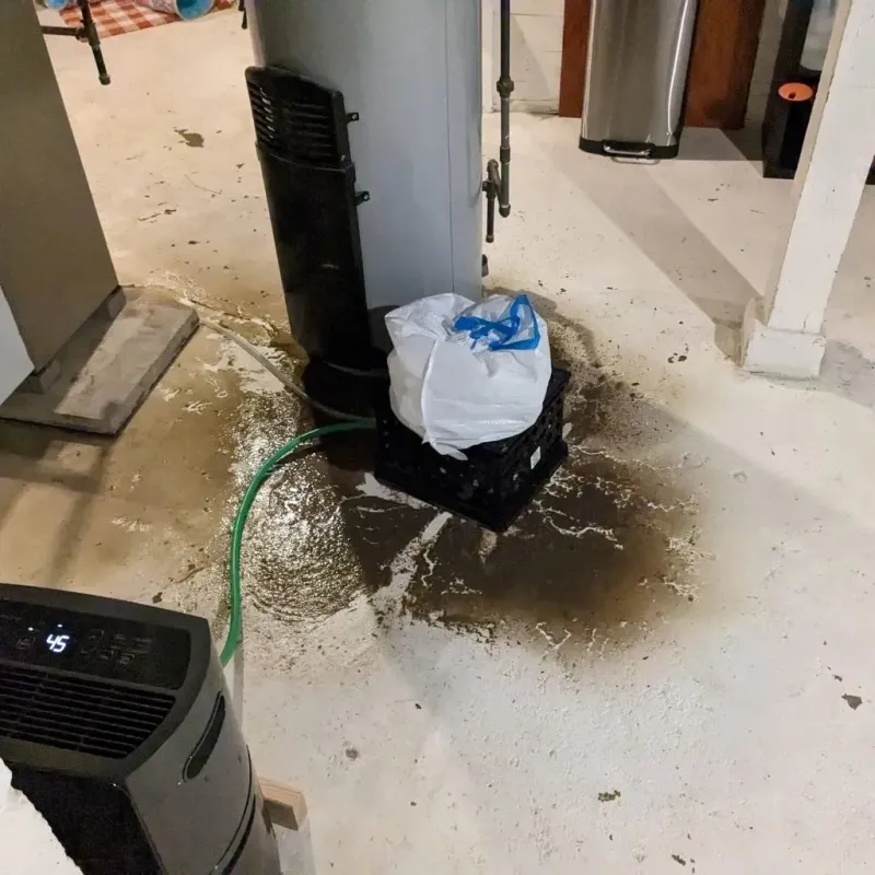 Sewage Backup Cleanup Service in South Jacksonville, IL